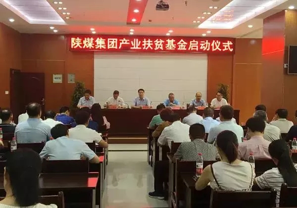 1562210220850222.jpeg 1.webp.jpg