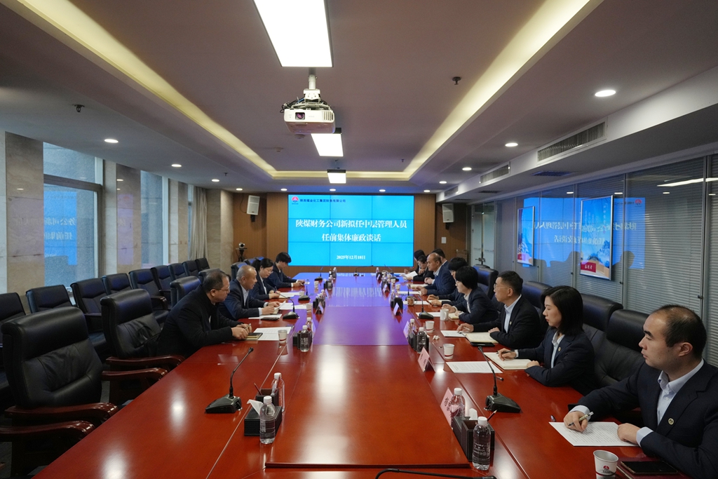20251218陜煤財(cái)務(wù)公司開展新任中層管理人員任前集體廉政談話_副本.jpg
